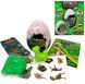 Дитячий набір для розкопок "DINO PALEONTOLOGY" DP-03-01 Danko Toys з сюрпризом та кінетичним піском DP-03-01 фото 3