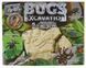 Набор для раскопок Bugs Excavation Жуки Danko Toys BEX-01U, развивающая игра для детей 4+ BEX-01-05U,06U фото 1